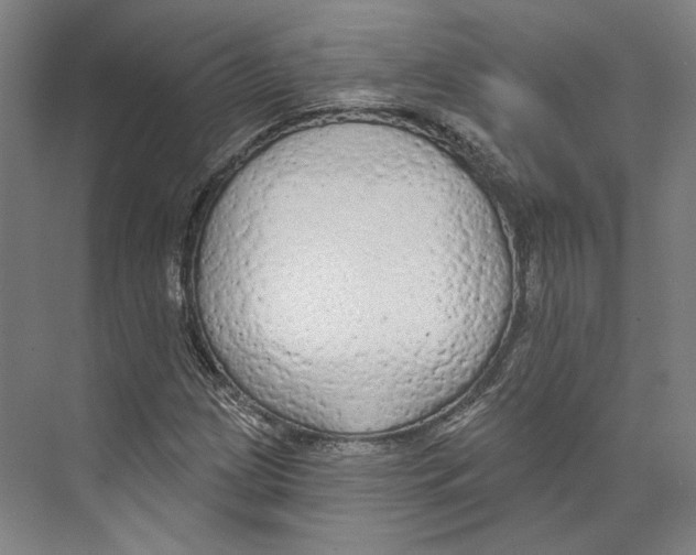 X0000071911209200608041400