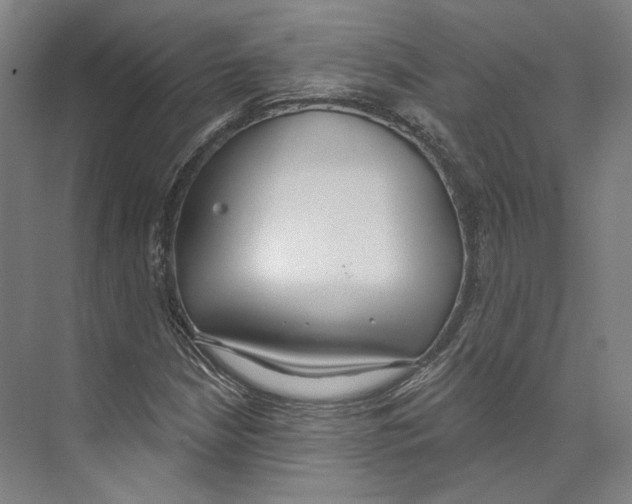 X0000071911210200608041400
