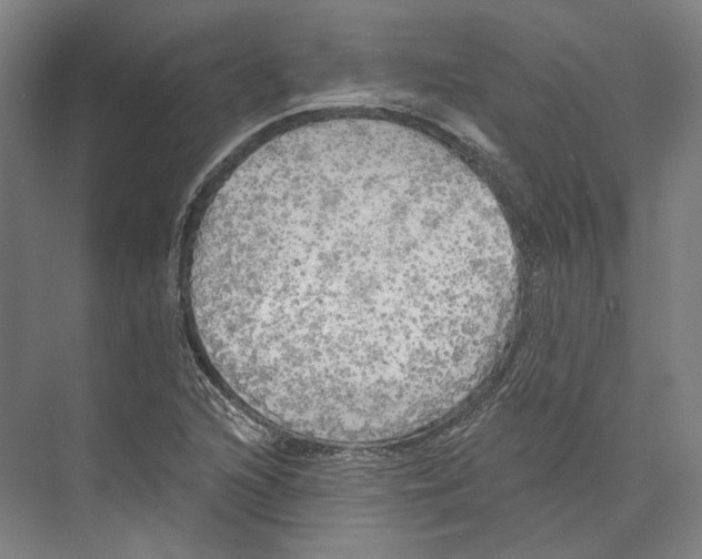 X0000071911216200608041400