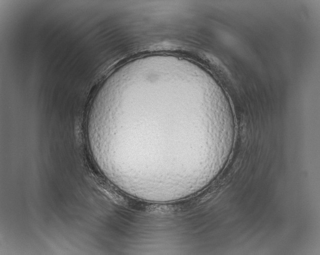 X0000071911217200608041400