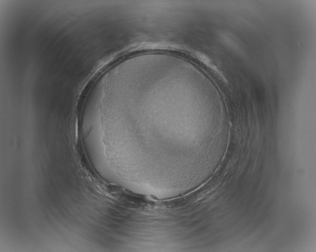 X0000071911221200608041400