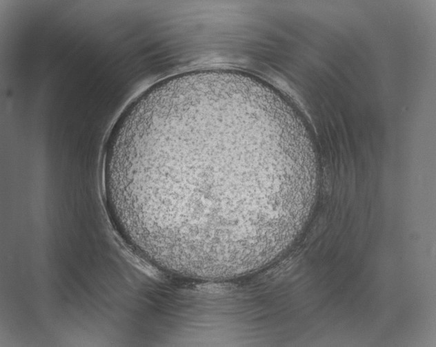 X0000071911227200608041400