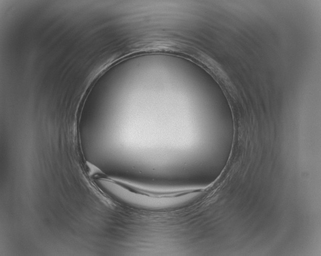 X0000071911234200608041400