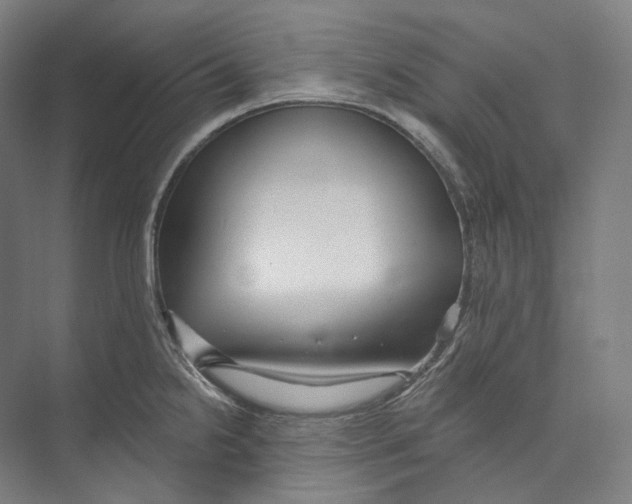 X0000071911238200608041400