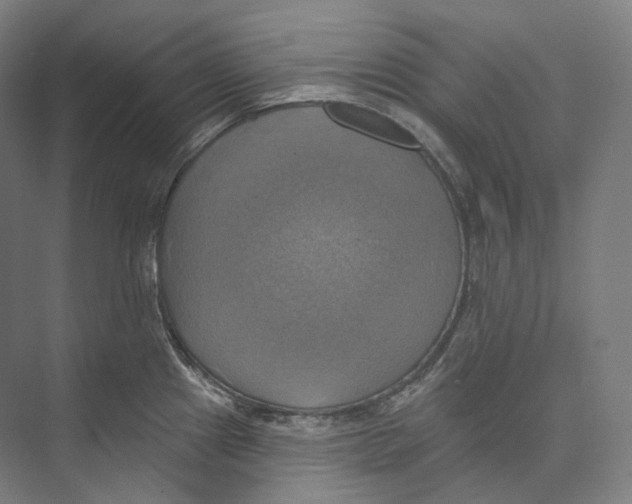 X0000071911241200608041400