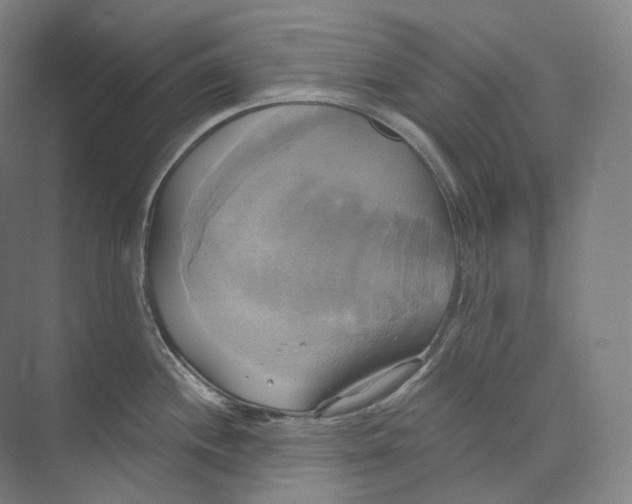 X0000071911244200608041400