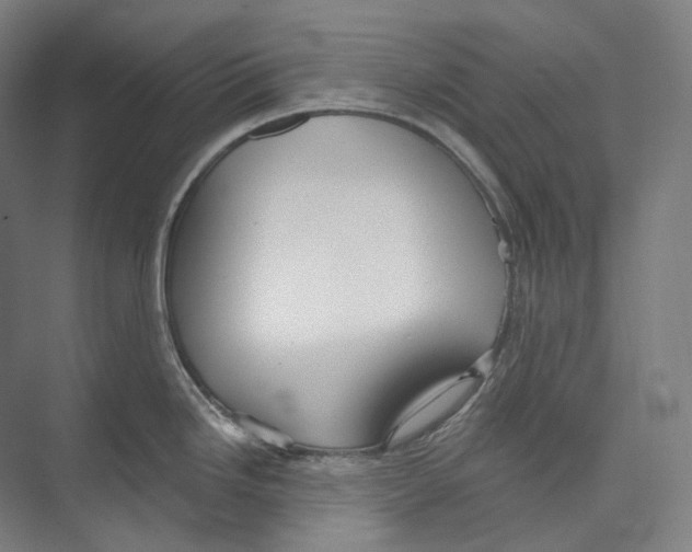 X0000071911246200608041400