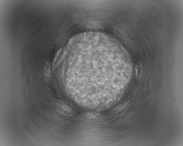 X0000071911251200608041400