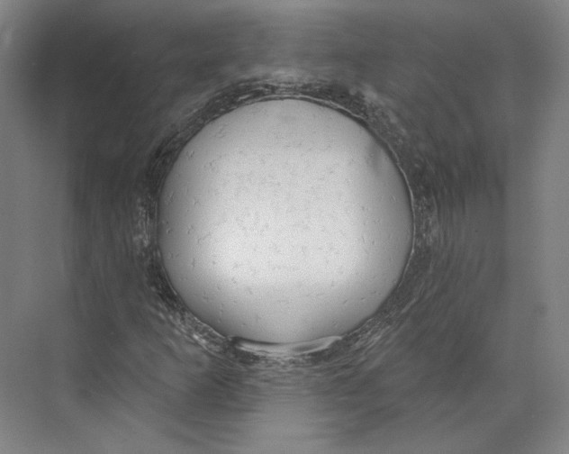 X0000071911253200608041400