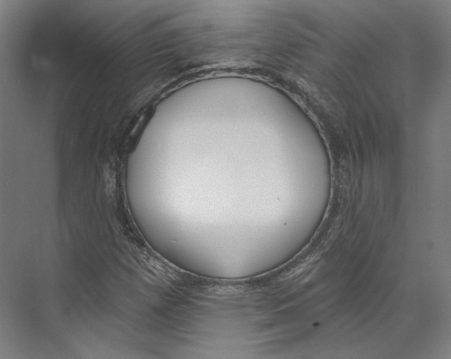 X0000071911257200608041400