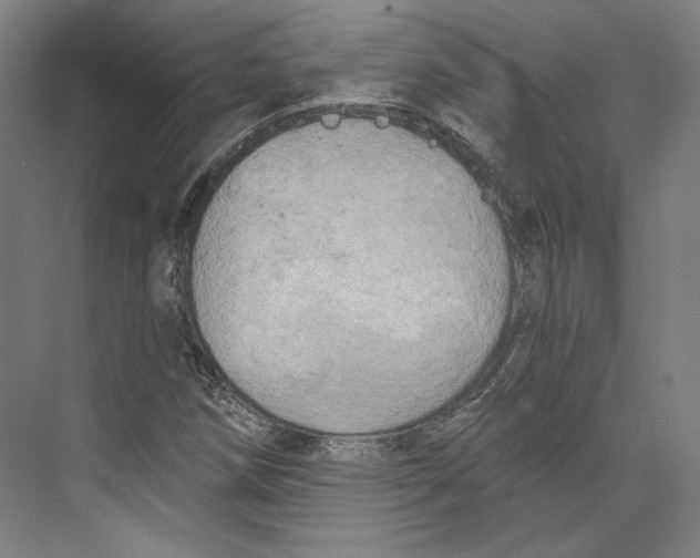 X0000071911258200608041400