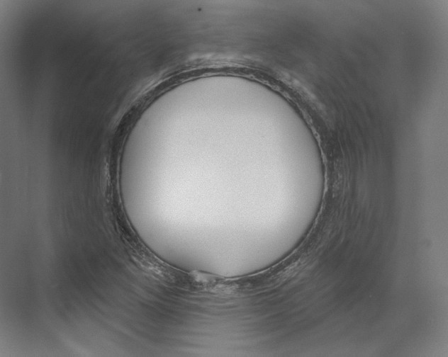 X0000071911261200608041359
