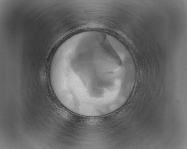 X0000071911266200608041359