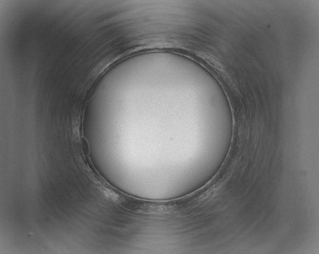 X0000071911273200608041359