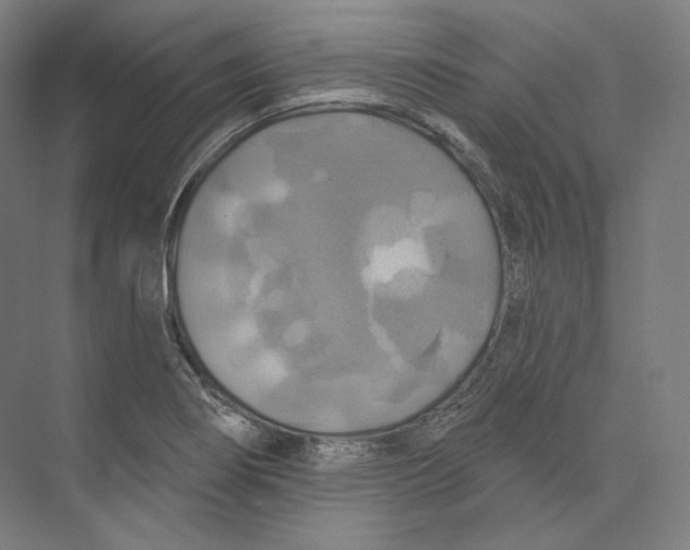 X0000071911274200608041359
