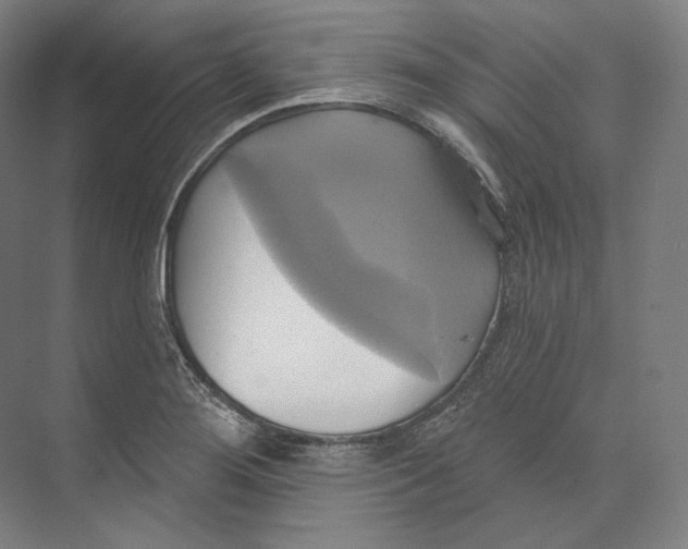 X0000071911276200608041359