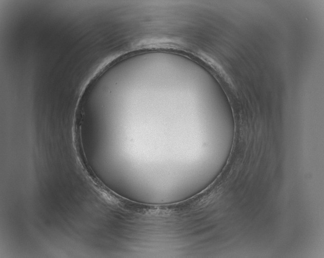 X0000071911277200608041359