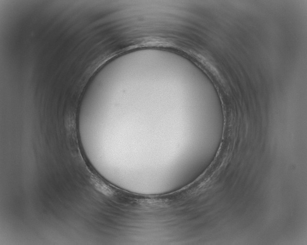 X0000071911281200608041359