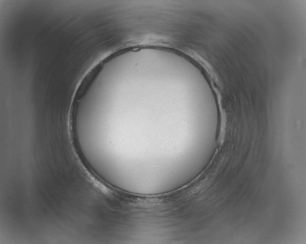 X0000071911285200608041359