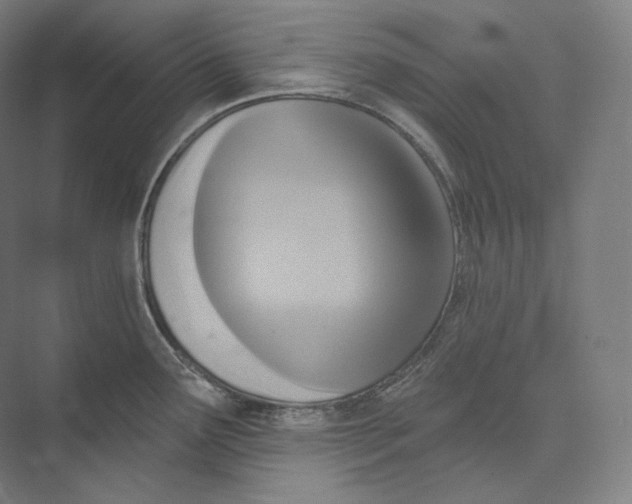 X0000071911291200608041359