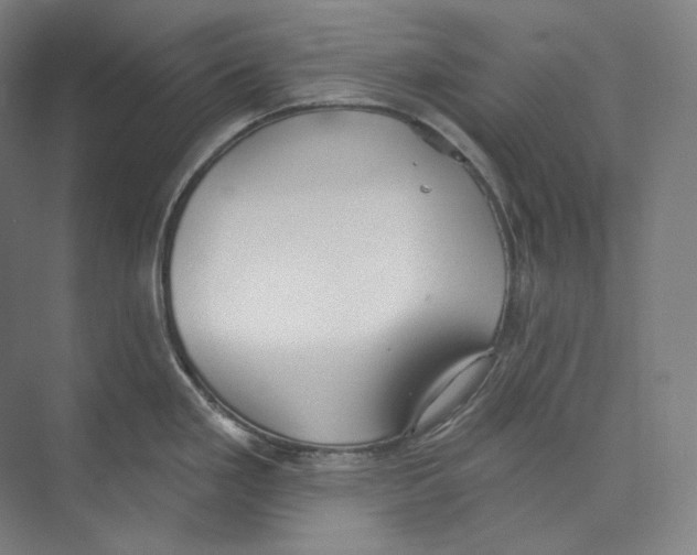 X0000071911293200608041359