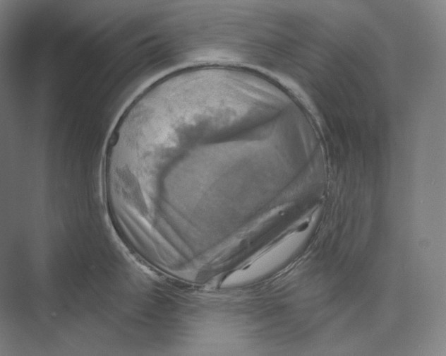 X0000071911295200608041359