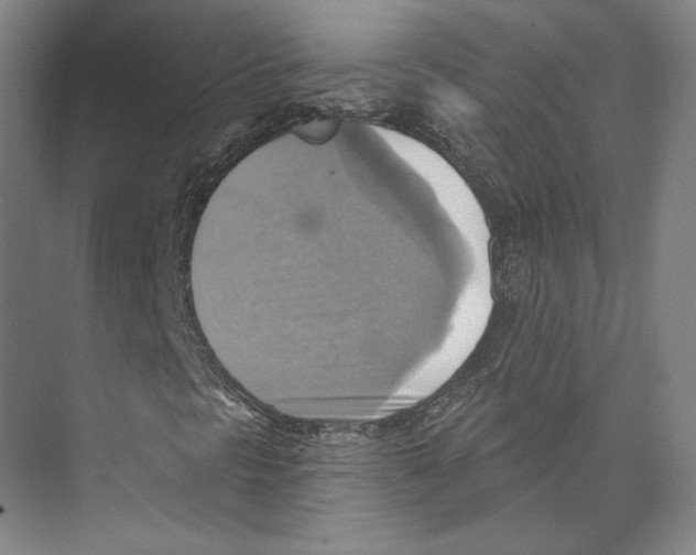 X0000071911297200608041358