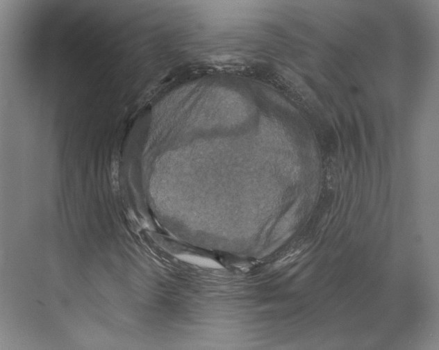 X0000071911298200608041358