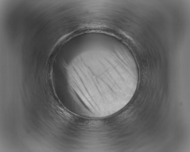 X0000071911306200608041358