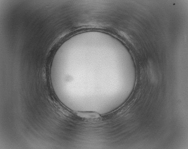 X0000071911307200608041358