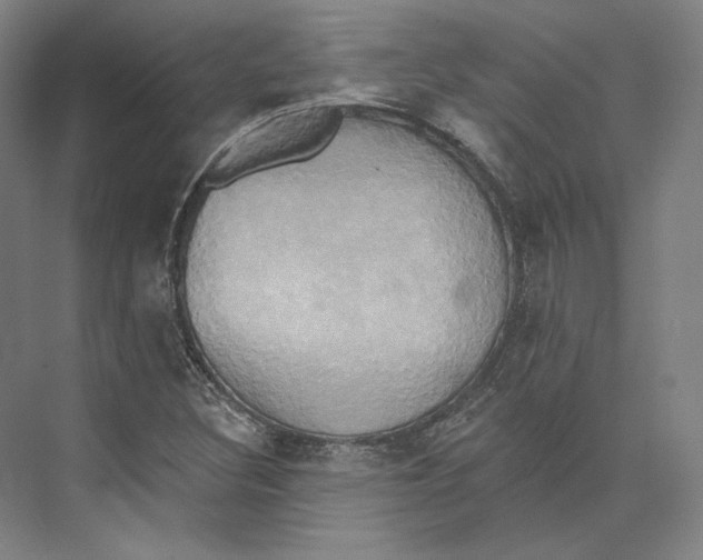 X0000071911308200608041358