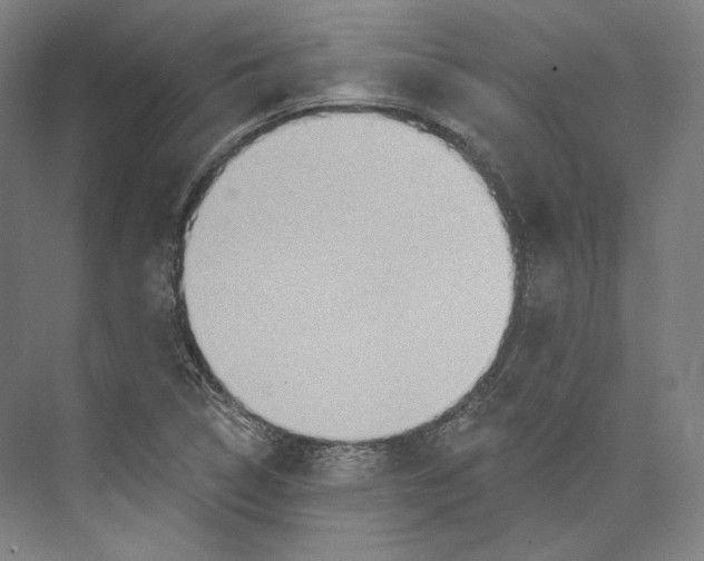 X0000071911314200608041358