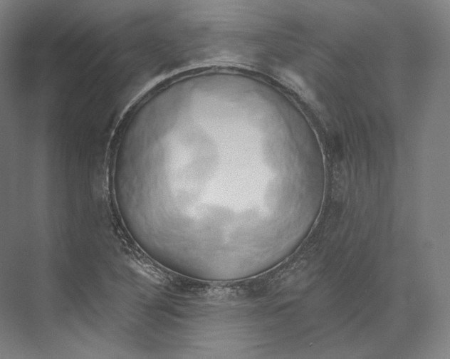X0000071911316200608041358