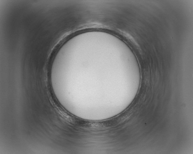 X0000071911318200608041358