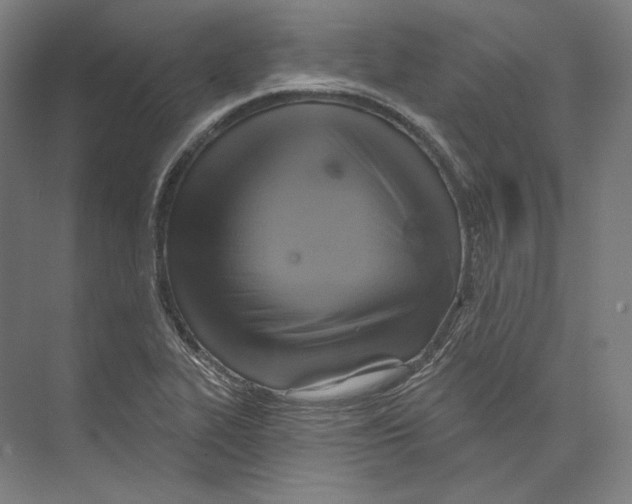 X0000071911319200608041358