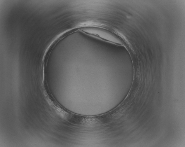 X0000071911323200608041359