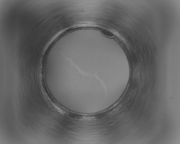 X0000071911325200608041359