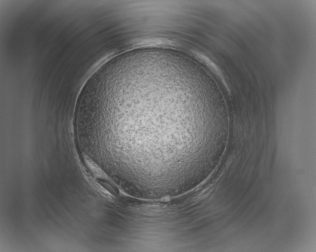 X0000071911330200608041359