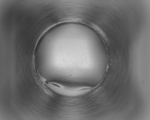 X0000071911332200608041359