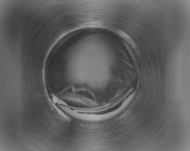 X0000071911334200608041359
