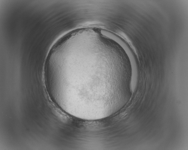 X0000071911336200608041359