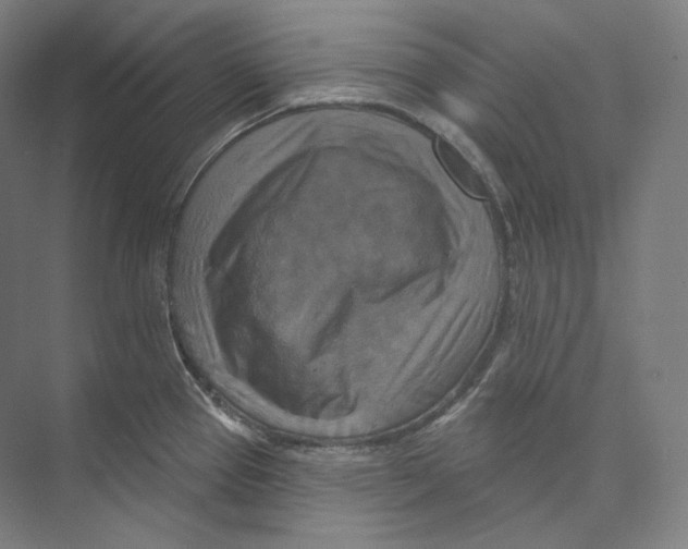 X0000071911337200608041359