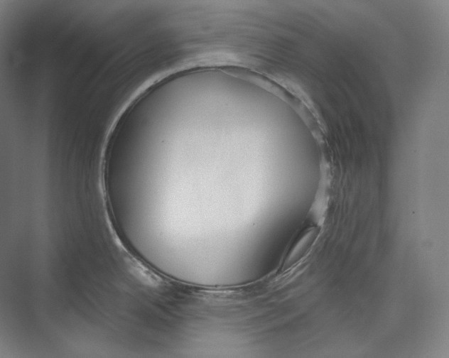 X0000071911342200608041359
