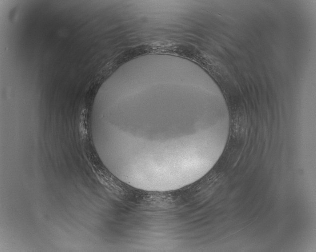 X0000071911346200608041358