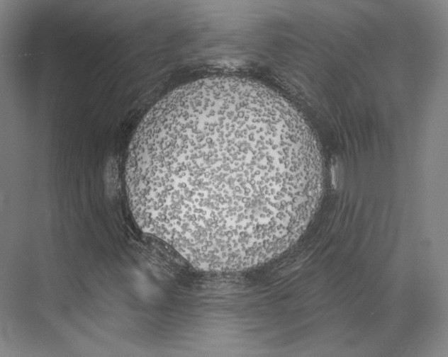 X0000071911347200608041358