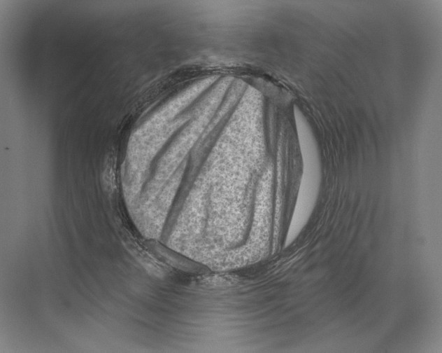 X0000071911348200608041358