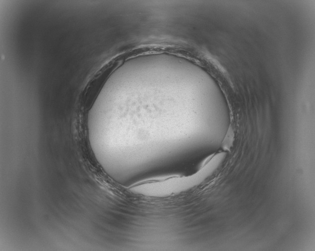 X0000071911352200608041358