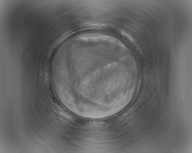 X0000071911354200608041358