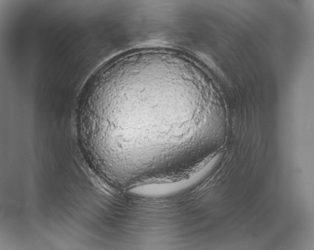 X0000071911356200608041358