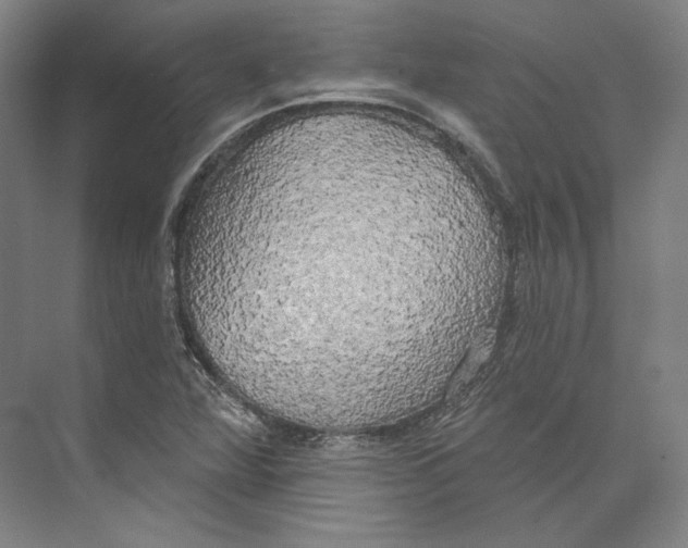 X0000071911360200608041358